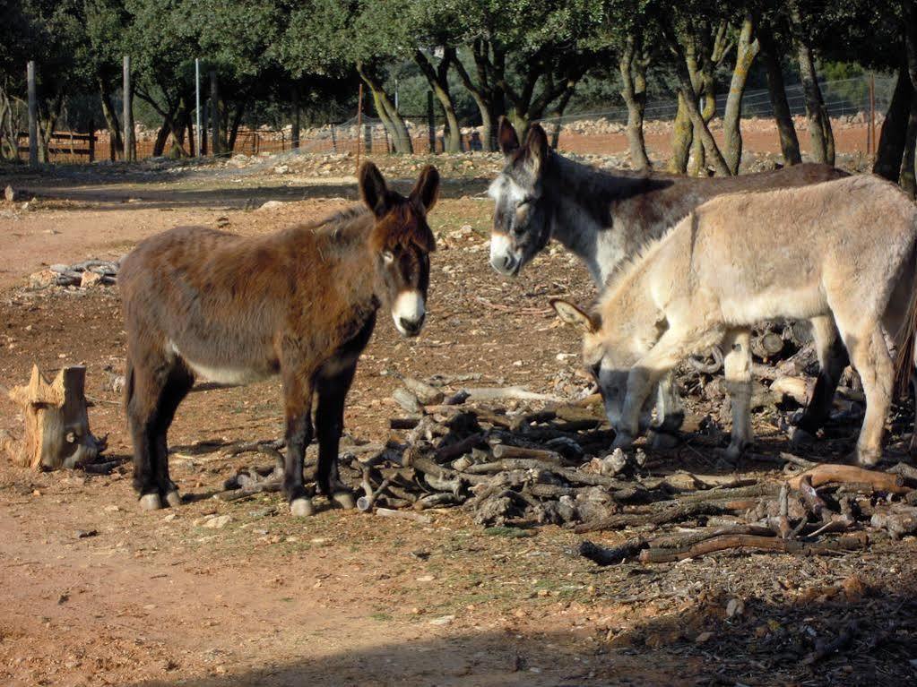 Hotel Rural La Moragona Vara Del Rey エクステリア 写真