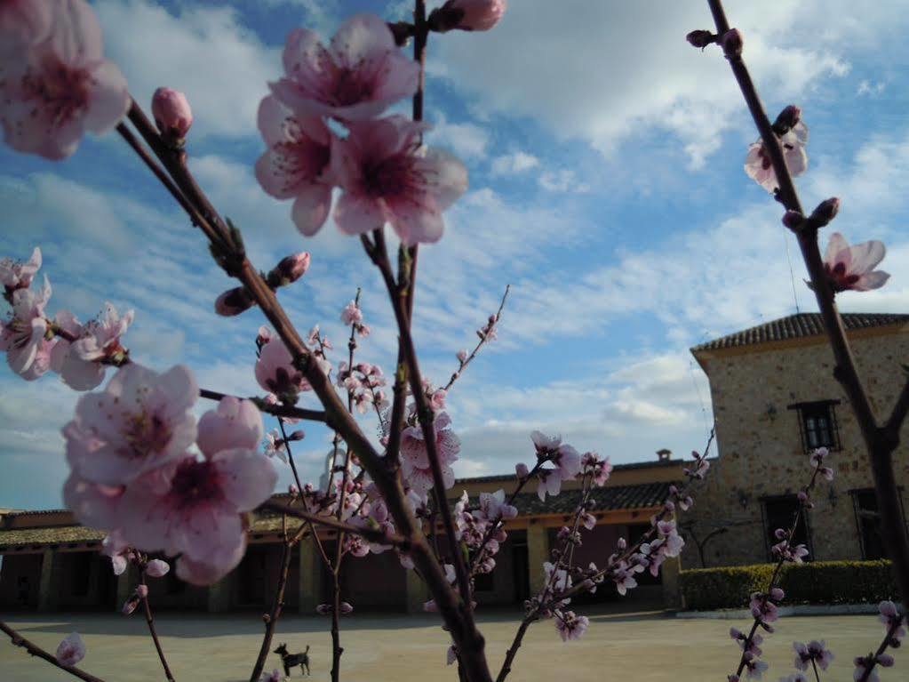 Hotel Rural La Moragona Vara Del Rey エクステリア 写真