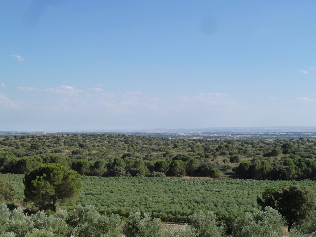 Hotel Rural La Moragona Vara Del Rey エクステリア 写真